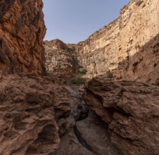 Hiking through the iconic Amtoudi canyon in the Anti-Atlas, Morocco, Africa