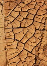 Cracked, dry earth with brown colour tones, reminiscent of arid or desert landscapes. Hiking