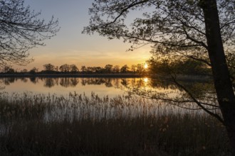 Evening atmosphere in the Upper Lusatian heath and pond landscape, Guttau pond area 1