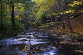 Autumn magic on a river landscape in Lusatia - the Löbauer Wasser 2