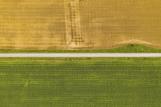 Aerial top view drone photography of a land with sown green fields in countryside