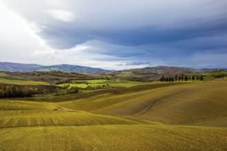 Rural farms. Smooth rows of plowed fields and meadows. Picturesque hills of the legendary Tuscany.