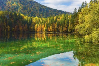 Flood after rain. Scenic reflections of multicolored forests in the smooth water of the lake. The