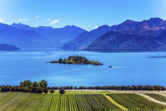 Fabulously beautiful Lake Wanaka. In the middle of the lake is a wonderful little island. Exotic