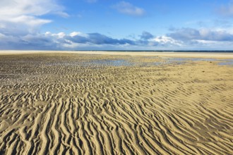 Beach on the North Sea coast on the island of Amrum