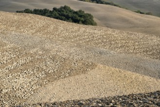 The most famous country landscape in Tuscany during autumn