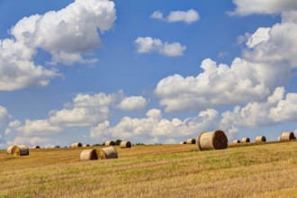 Straw bales at harvest time with blue sky and white clouds
