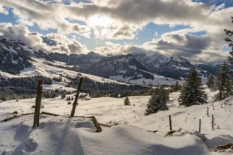 Wonderful winter hike from Restaurant Eggli over the Forstseeli and Diepoldsauer sponge to the