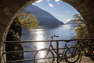 Part of the Olive Trail. Bicycle fixed on a path and yellow autumn trees behind and a pleasure boat