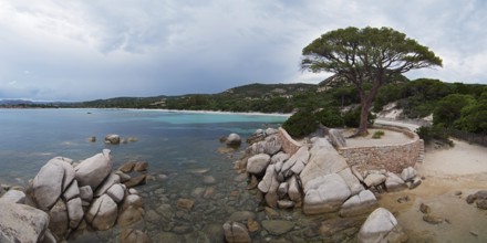 Pine tree and rock formations, Palombaggia, Tamaricciu, Corsica