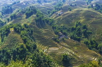 Amazing view on rice terrace in Sapa village, Vietnam, Asia