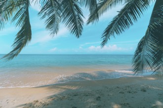 A beautiful beach on a tropical island