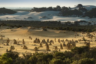 Pinnacles Desert, Nambung National Park, Kalbarri Region, Western Australia, Australia, Oceania