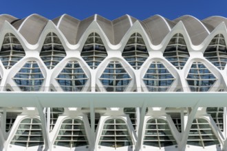 Detail of the roof of the white futuristic building of the science museum Prinz Philip (Museu de