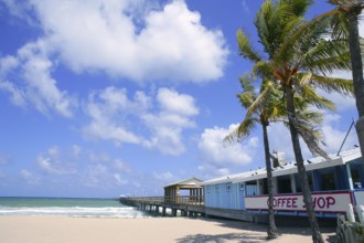 Fort Lauderdale beach cafe with tropical palm trees and blue sky