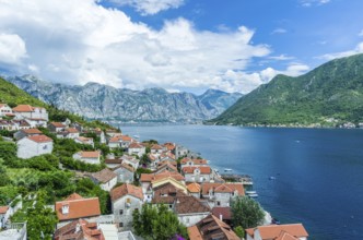 Top aerial panoramic view on old town Perast and Kotor bay on summer day in Montenegro
