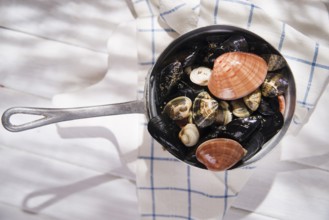 Necessary ingredients for a soup with seafood on a white background