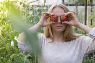 Portrait of blonde woman harvesting red ripe organic tomatoes in greenhouse and having fun. Healthy