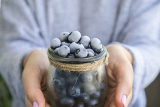 Woman holding bowl with Frozen blueberry fruits. Harvesting concept. Female hands collecting