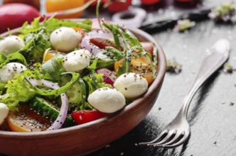 Vegetable salad with mocarella cheese, lettuce, cherry tomatoes, radish, cucumber, onion and basil