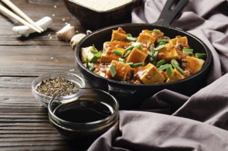 Mapo tofu in cast iron skillet with pork chopped chives soy sauce sichuan pepper garlic and spices