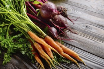 Fresh organic beetroots and carrots on kitchen wooden rustic table close up view