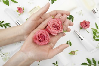 Rose buds in caucasian model hands on white background with cosmetic bottles tubes and droppers