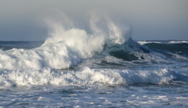 Dangerous wavy ocean with wind waves crashing during tropical storm