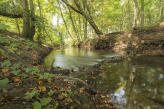 Protected Brook near Winterswijk in the East of the Netherlands in the fall