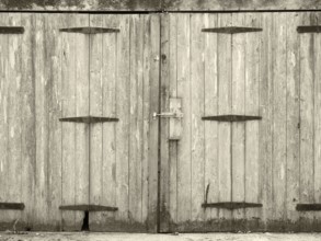 Monochrome old rural grey plank wooden plank doors with a bolt fastening and rusty iron hinges
