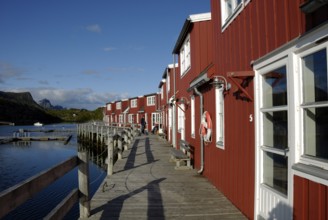 Rorbuer in Storvagan, Kabelvag, Austvagöy, Lofoten, Norway, Europe