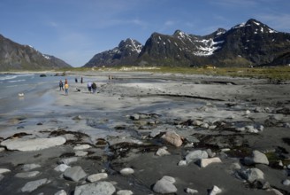 Coast near Flakstad, Flakstadöya, Lofoten, Norway, Europe