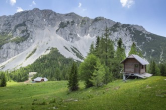 Zelenica above Ljubelj in Slovenia. Karavanke alps in summer with wild flowers blooming