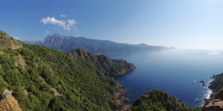 Panoramic view of the
