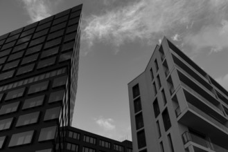 Building in the Hafencity, black and white, Hanseatic City of Hamburg, Germany, Europe