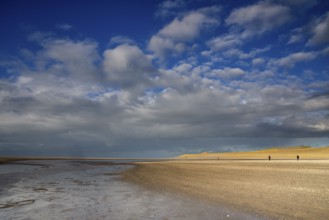 Two people making a beachwalk on the Maasvlaktestrand. This beach is a result of the creation of