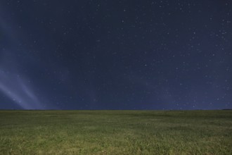 Night meadow background. Night starry sky. Night sky with stars