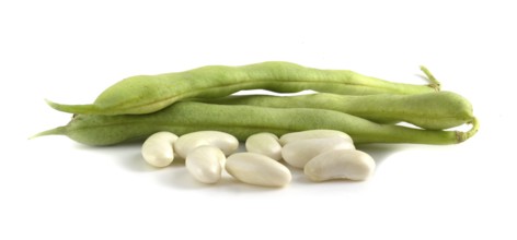 Young bean pods and beans isolated on white background close up