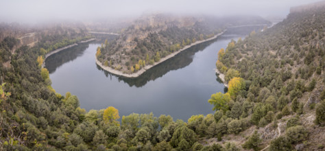 Meander, Las Hoces del Río Duratón Natural Park, Segovia province, Spain, Europe