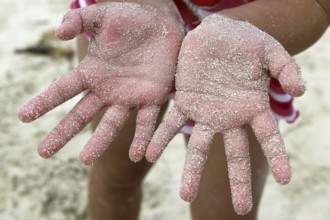 Children girl beach sand palm hands facing camera summer metaphor