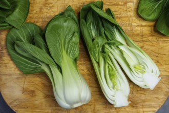Fresh bok choy or pak choi or pok choi vegetables
