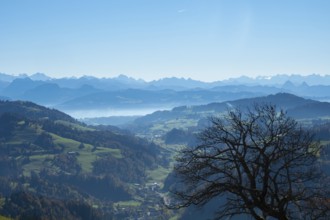 Beautiful view from the top of Hoerli, a hill in Cantone Zurich, towards the central alps