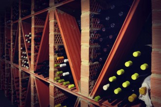 Wine Cellar from Mediterranean with bottles stacked in rows