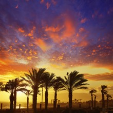 Almeria Cabo de Gata sunset in Retamar beach at Spain