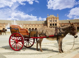 Seville Sevilla Plaza de Espana donkey carriage in Andalusia Spain square