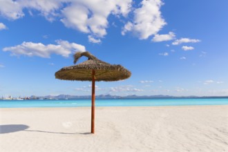 Mallorca Platja de Alcudia beach in Majorca Balearic islands