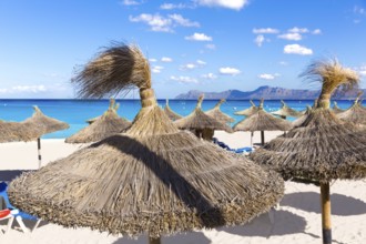 Mallorca Can Picafort beach in alcudia bay at Majorca Balearic islands of Spain