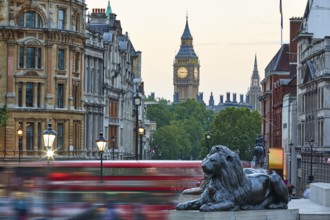 London Trafalgar Square lion and Big Ben tower at background