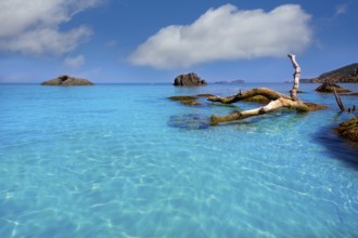 Ibiza Aigues Blanques Aguas Blancas Beach at Santa Eulalia Balearic Islands of spain