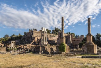View of Forum of Rome a sunny summer day in Rome. It was for centuries the center of Roman public